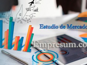 estudio-de-mercado