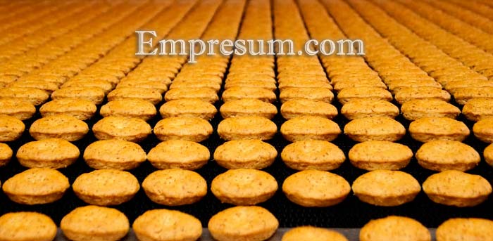 Cómo montar una fábrica de galletas - EmpresuM